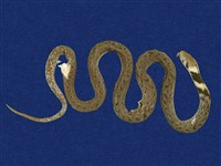 藏品(斯文豪氏游蛇)的圖片